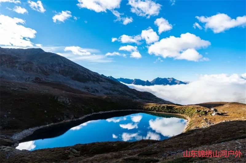 1685621000802937.jpg 5.jpg