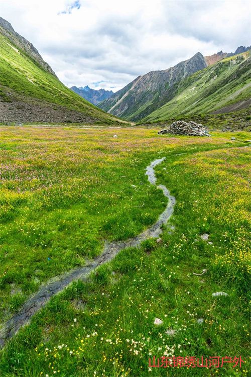 1685621319409916.jpg 640.jpg