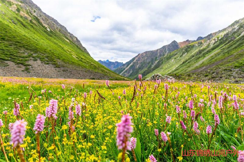 1685621469573476.jpg 1.jpg