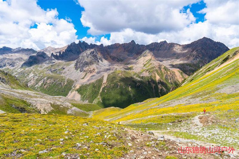 1685621469613958.jpg 2.jpg