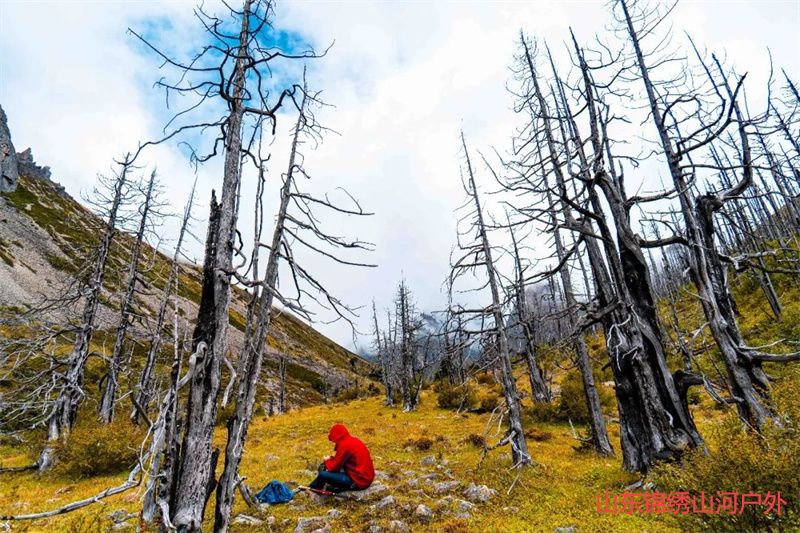 1685621658267097.jpg 640.jpg