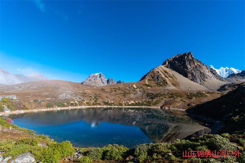 1685623798336001.jpg 1.jpg