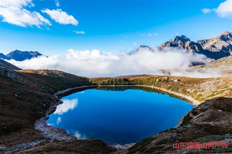 1685623798845416.jpg 2.jpg