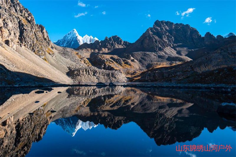 1685623966997304.jpg d1.jpg