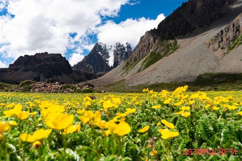 1686034966428151.jpg d1.jpg