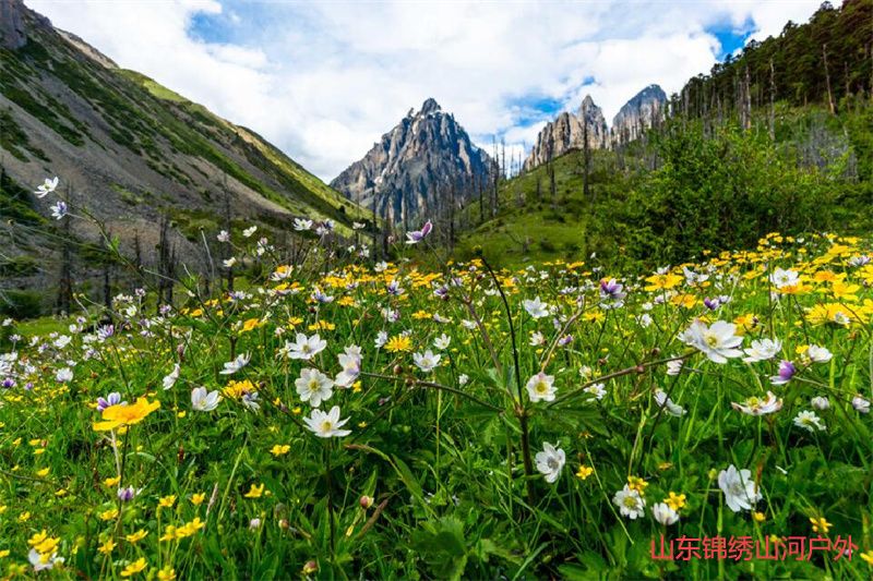 1686035046209498.jpg d1.jpg