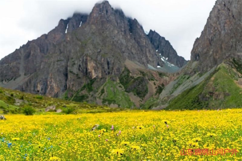 1686035046527601.jpg 2.jpg