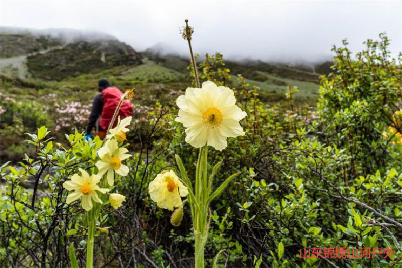 1686035161538039.jpg 3.jpg