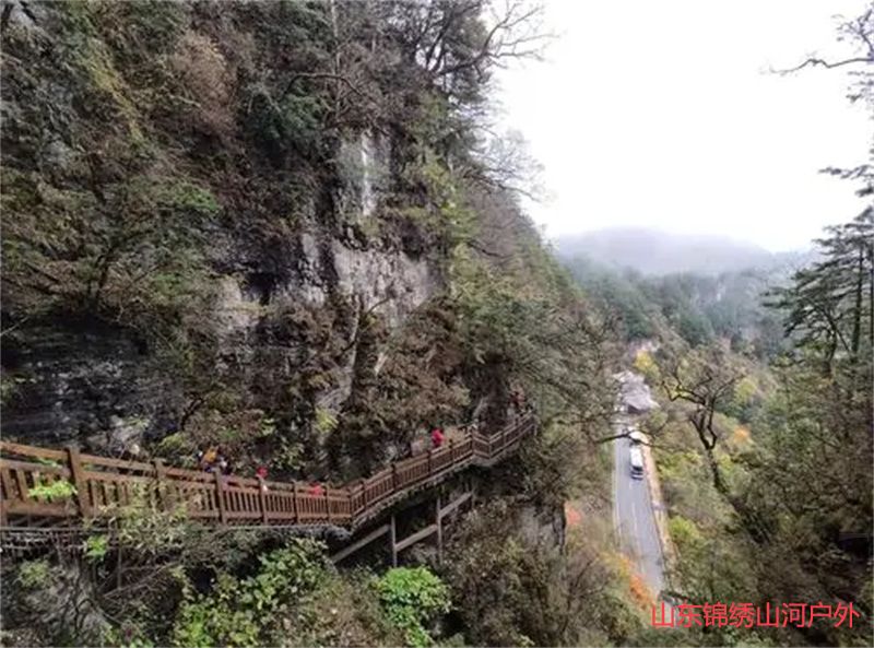 1686985062332797.jpg u=3238566680,2461786239&fm=253&fmt=auto&app=138&f=JPEG.jpg