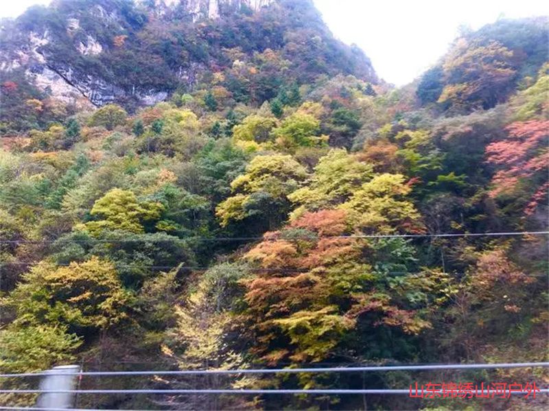 1686985062367592.jpg u=3331749629,4050347006&fm=253&fmt=auto&app=138&f=JPEG.jpg