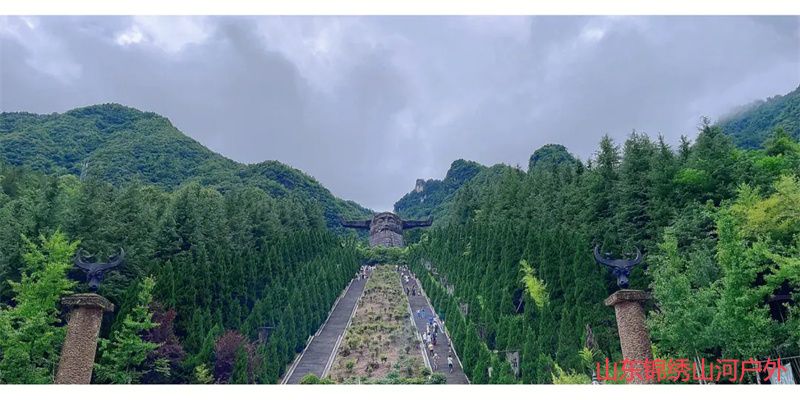 1686985780886669.jpg 1.jpg