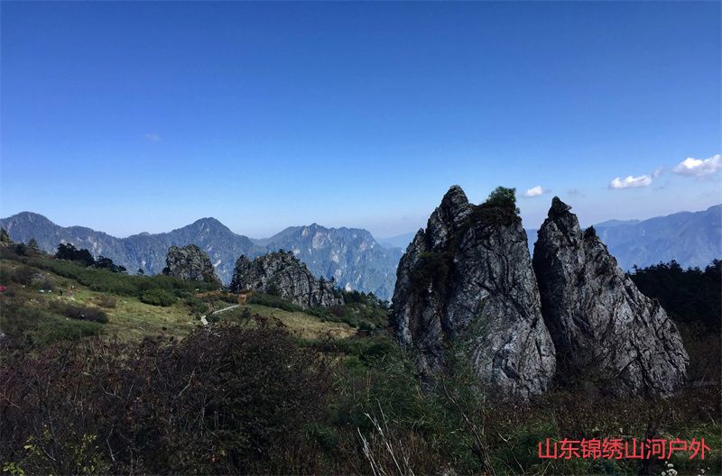 1686986504504574.jpg 1.jpg