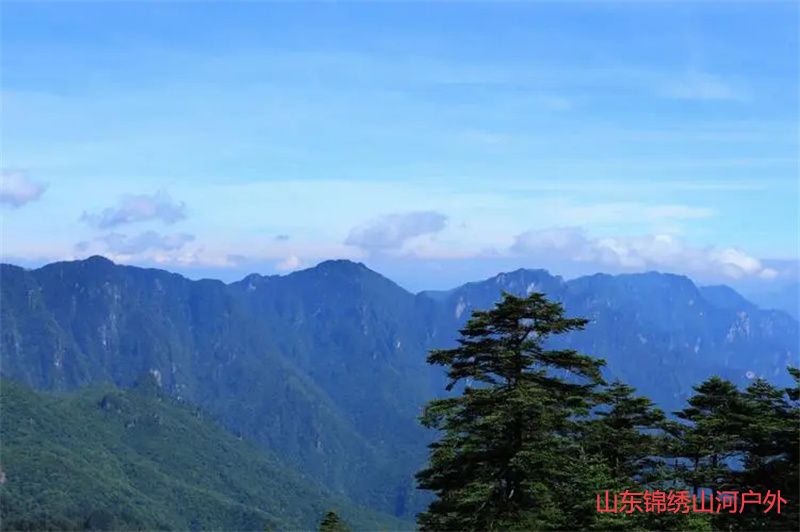 1686986505255404.jpg u=362456325,536820957&fm=253&fmt=auto&app=138&f=JPEG.jpg