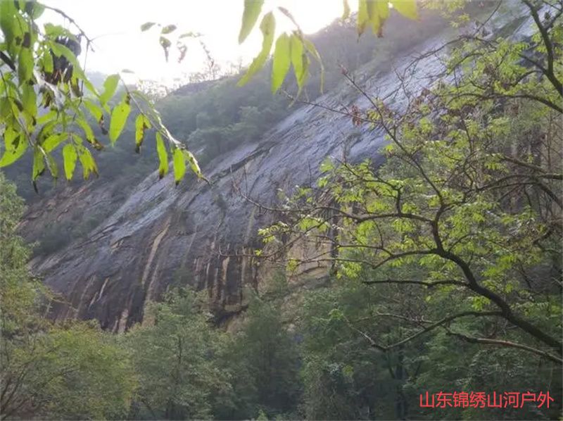 1689508550511443.jpg u=257480222,3396385055&fm=253&fmt=auto&app=138&f=JPEG.jpg