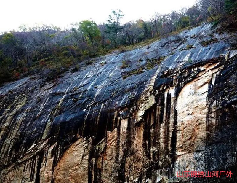 1689508550709152.jpg 1.jpg