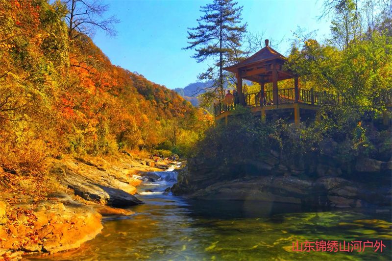 1689509263181270.jpg 1.jpg