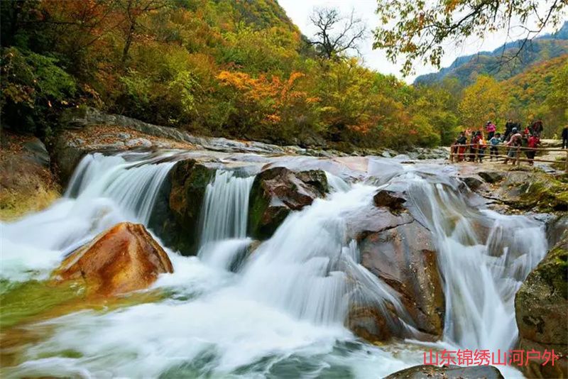 1689509263215637.jpg u=308385079,2145762532&fm=253&fmt=auto&app=138&f=JPEG.jpg