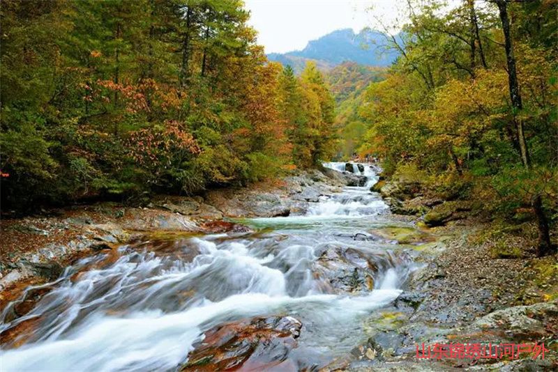 1689509263307801.jpg u=2190595436,4173527443&fm=253&fmt=auto&app=138&f=JPEG.jpg