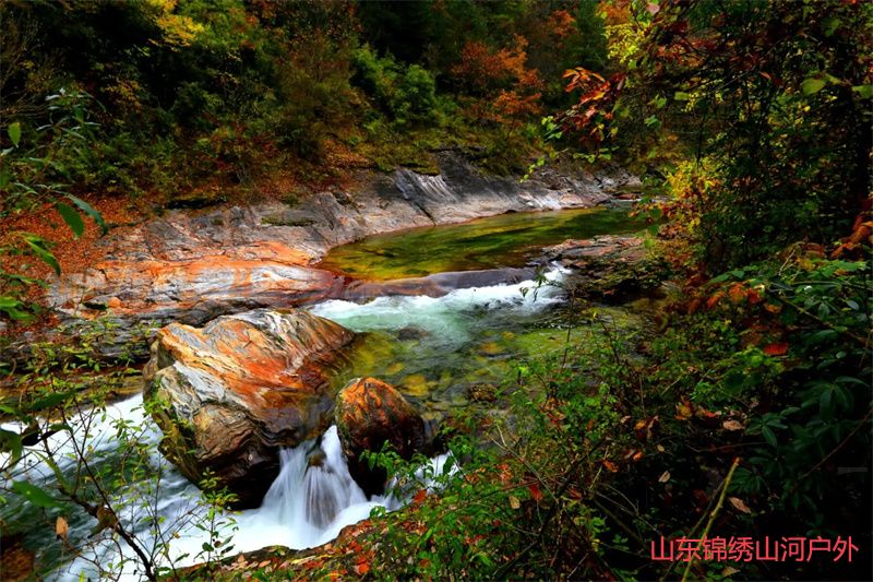 1689509263309784.jpg 2.jpg