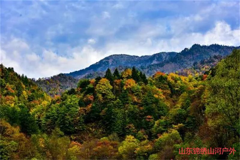 1689509263630326.jpg u=2460270483,3807661649&fm=253&fmt=auto&app=138&f=JPEG.jpg