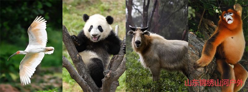 1689509739423173.jpg u=1676960139,3409915469&fm=253&fmt=auto&app=138&f=PNG.jpg