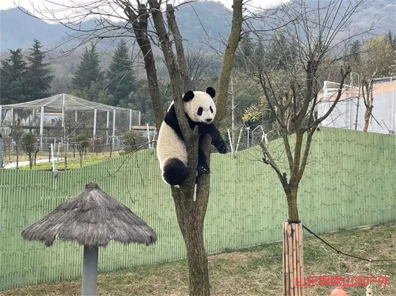 1689509747649294.jpg u=3399423892,344309137&fm=253&fmt=auto&app=138&f=JPEG.jpg