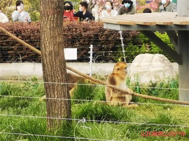 1689509752472326.jpg u=1766694169,364597123&fm=253&fmt=auto&app=138&f=JPEG.jpg