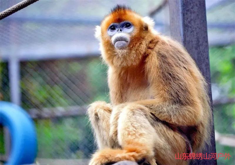 1689509753579037.jpg u=1635796478,452476094&fm=253&fmt=auto&app=120&f=JPEG.jpg