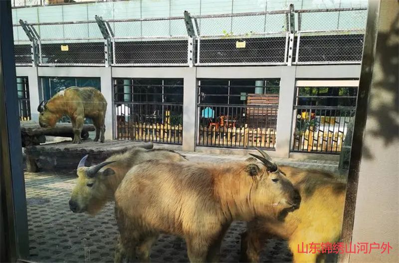 1689509758474080.jpg u=2869593944,1197548711&fm=253&fmt=auto&app=138&f=JPEG.jpg