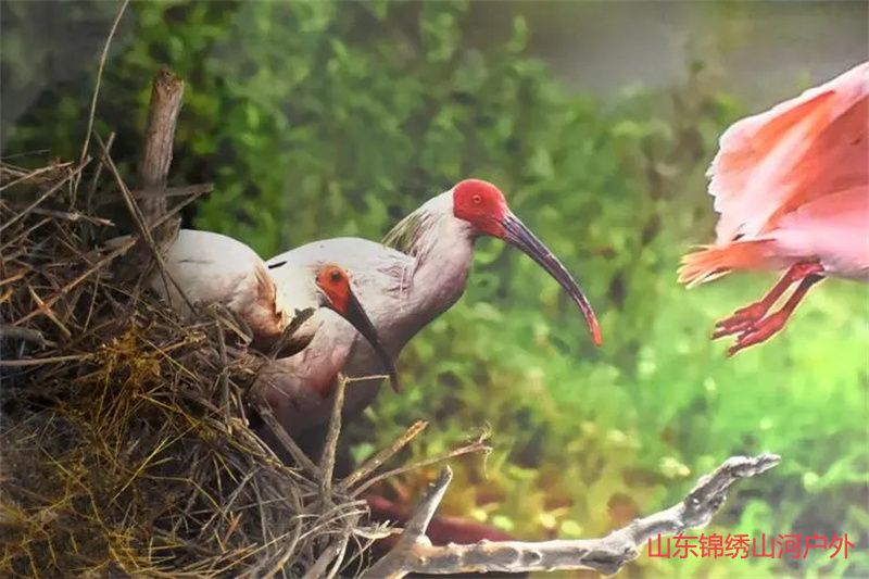 1689509767224228.jpg u=4139228434,3100254319&fm=253&fmt=auto&app=138&f=JPEG.jpg