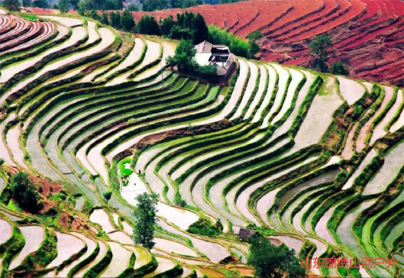 1692512110454190.jpg 4b147adec55aabc7c00cc43be2e2d2c4-sz_924428.jpg