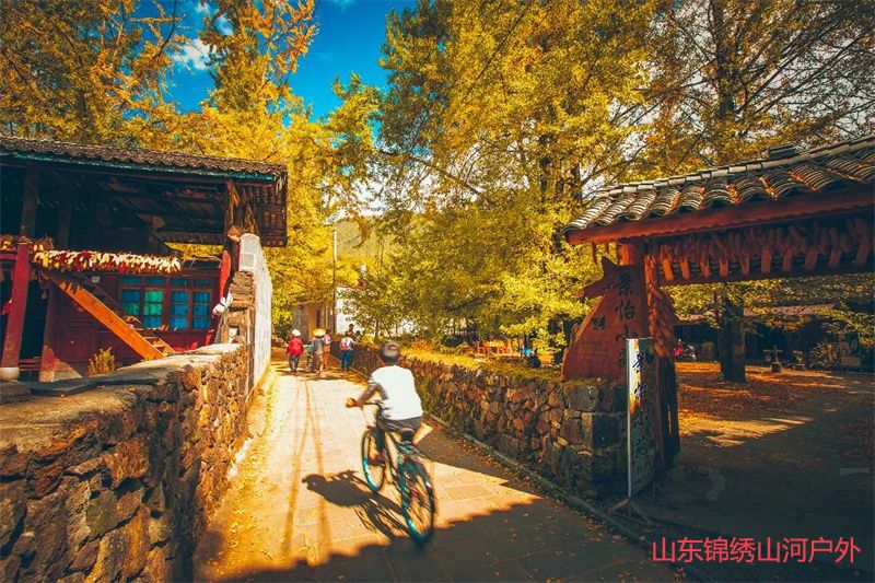 1692512327843527.jpg c5960458556fb8080dd3f6d3432048dc-sz_281520.jpg