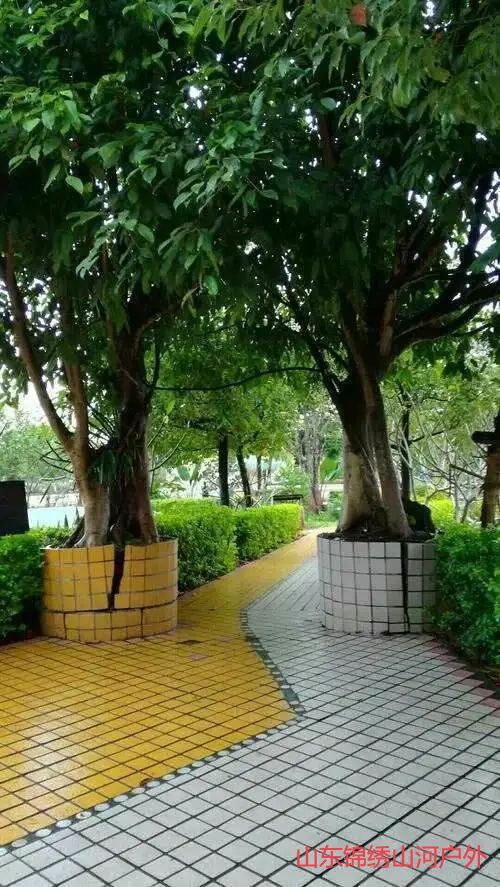 1692512837662091.jpg e6d16c3134c2d2f54b586a369fb18767-sz_98203.jpg