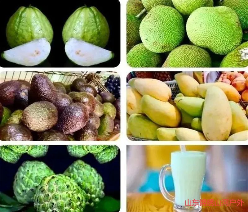 1692514131989419.jpg f9d158687c7776209ebb13320221b689-sz_87002.jpg