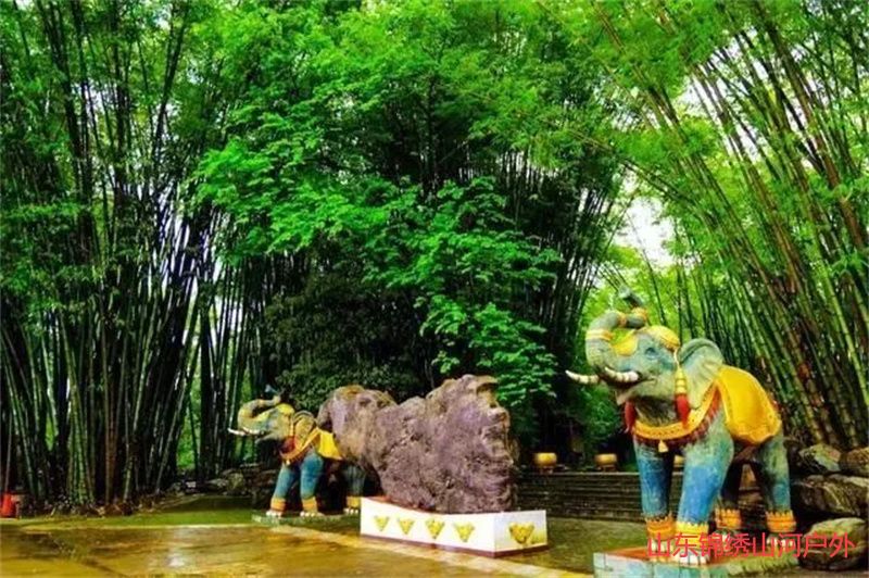 1692514328516047.jpg 1e776b3c877c9f4b7cf086ce37e7a326-sz_96171.jpg