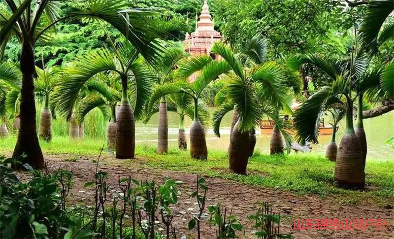 1692515654486157.jpg 4929fbea87224d2369f2419159be010e-sz_106785.jpg