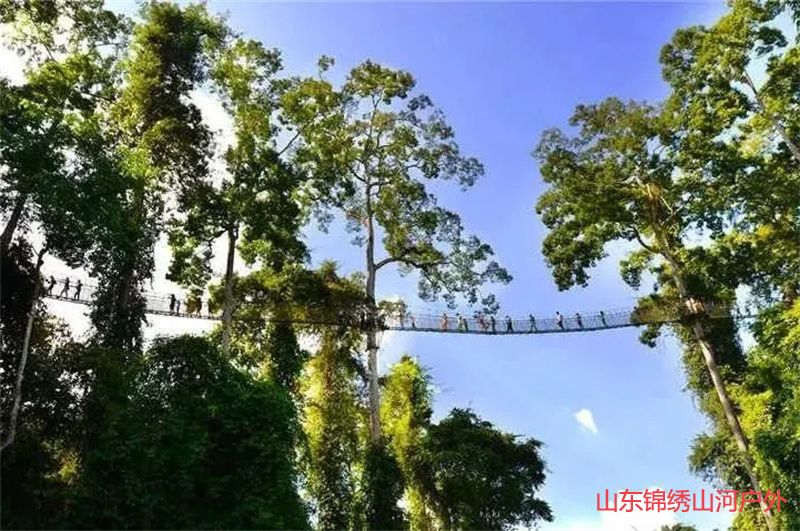 1692515810307194.jpg 4d63eb23bdea44cc40e77c0df9384b65-sz_100888.jpg