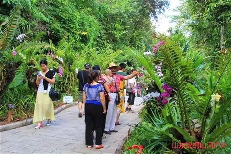 1692515817825533.jpg ce8b28b19c15a76bcbafb749cb4c5b82-sz_89790.jpg