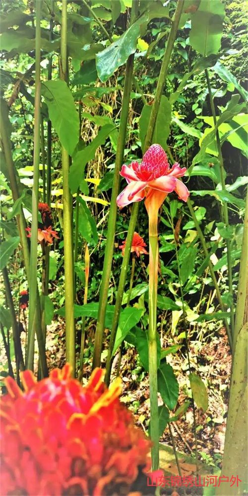 1692515822923543.jpg d0495eea5670563deeee1475bc374a15-sz_187740.jpg