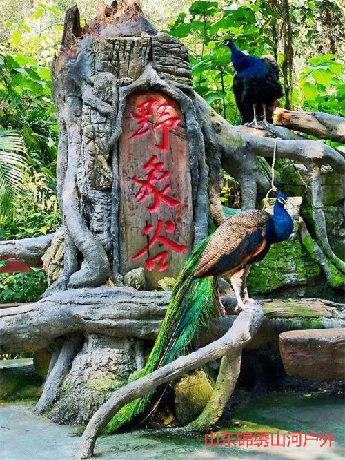 1692515829586492.jpg 8804a095d1bca66645ee80ae613b52ec-sz_195945.jpg