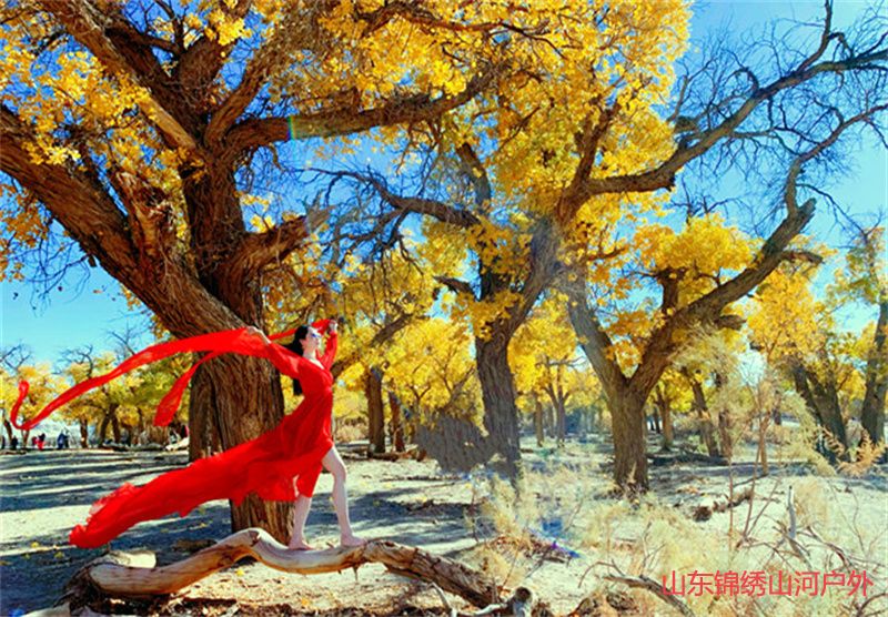 1695003028732964.jpg 8a260384e26e8b889106f33da4c3ed6f.jpg