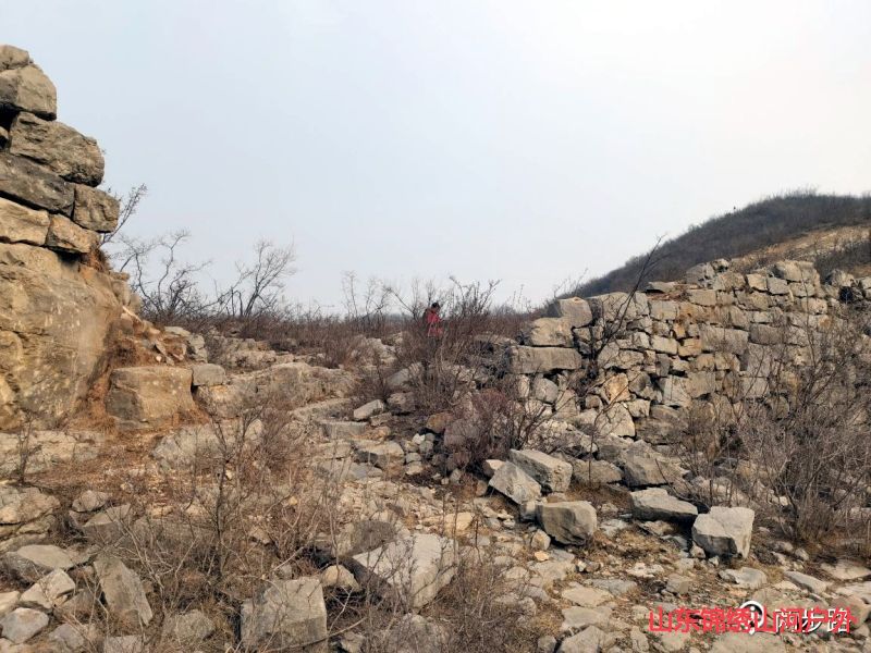 1695034746345549.jpg 1695034738101658.jpg