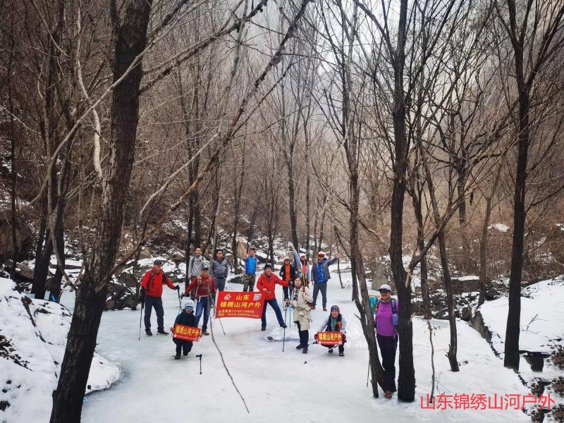 1701868526517529.jpg lin1.jpg