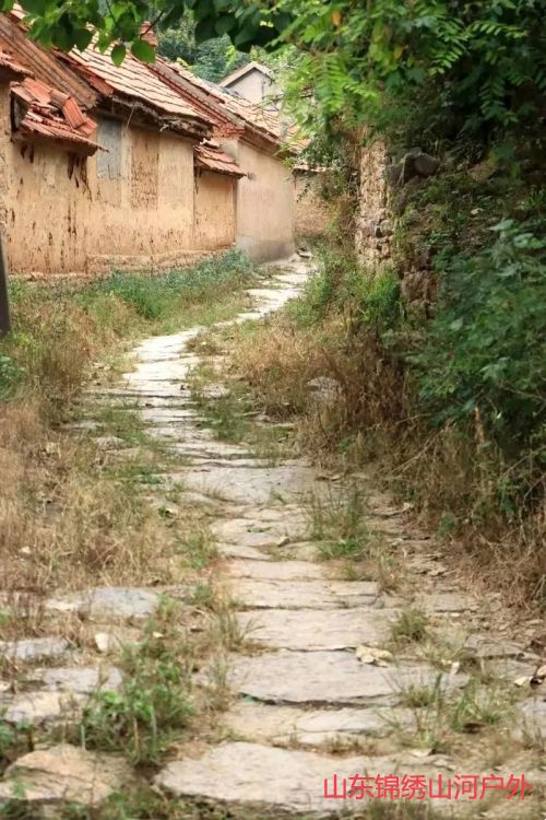 1702201548794877.jpg 640 (47).jpg