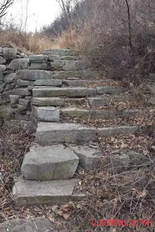 1702201601880402.jpg 640 (48).jpg