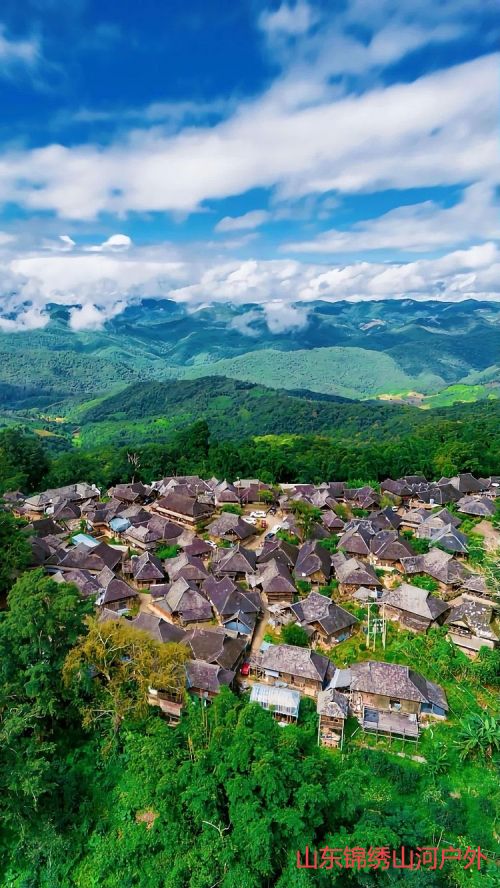 1703079313138191.jpg s.jpg