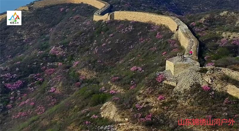 1737026281105771.jpg 82bfb2731f8544e8240297ecfb55ebe.jpg