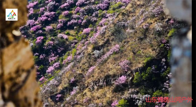 1737026495253711.jpg 38222688ed243afd04ef1b4dfc5e9a0.jpg