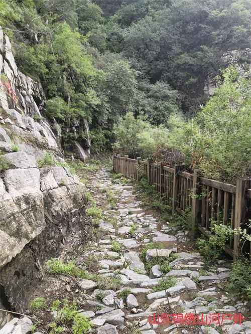 1743422876432786.jpg b16f9c571608516e5a78c8990b3415b.jpg