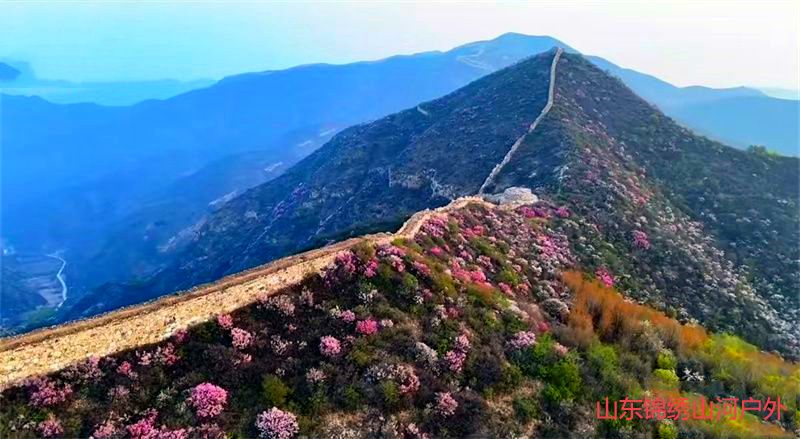 1743726031994816.jpg 1737025953615346.jpg